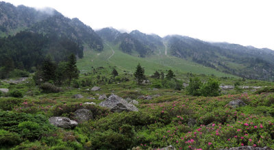 ARRENS - MARSOUS - PYRENEES NATIONAL PARK FRANCE (45).JPG