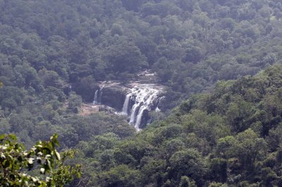 CHINNAR NATIONAL PARK - PHOTO BY SOM SMITH (262).JPG