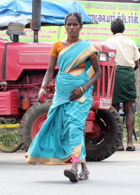 CHINNAR NATIONAL PARK TAMIL NADU INDIA (22).JPG