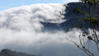 ERAVIKULUM NATIONAL PARK KERALA INDIA (4).JPG