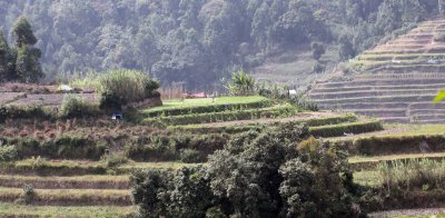 PAMPADUM SHOLA NATIONAL PARK - KERALA INDIA - VATTAVADA - PHOTO BY SOM SMITH (132).JPG