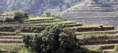 PAMPADUM SHOLA NATIONAL PARK - KERALA INDIA - VATTAVADA - PHOTO BY SOM SMITH (135).JPG