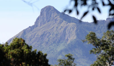 PAMPADUM SHOLA NATIONAL PARK KERALA INDIA.JPG