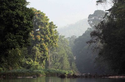 KITULGALA FOREST PRESERVE, SRI LANKA (24).JPG