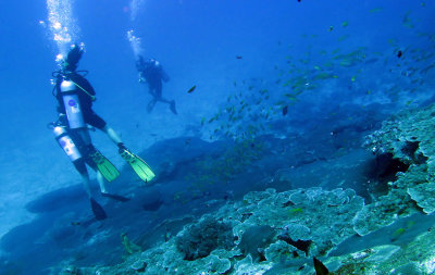 Similan Islands Marine Park Thailand (23).JPG