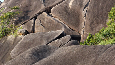 Similan Islands Marine Park Thailand (51).JPG