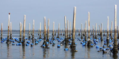 BAN TABOON PETCHABURI THAILAND - 2014 (117).JPG