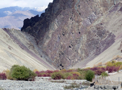 HEMIS NATIONAL PARK - LADAKH INDIA - JAMMU & KASHMIR NEAR RUMBAK VILLAGE (584).JPG