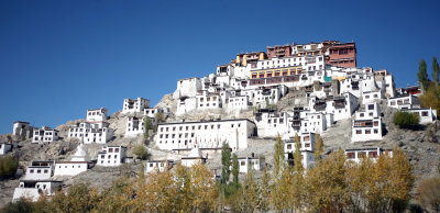 LEH - THIKSEY MONASTERY - LADAKH INDIA - SNOW LEOPARD TRIP 2013 (13).JPG