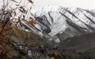 HEMIS NATIONAL PARK - LADAKH INDIA - JAMMU & KASHMIR NEAR RUMBAK VILLAGE (176).JPG