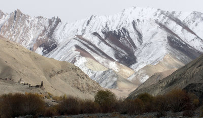 HEMIS NATIONAL PARK - LADAKH INDIA - JAMMU & KASHMIR NEAR RUMBAK VILLAGE (185).JPG