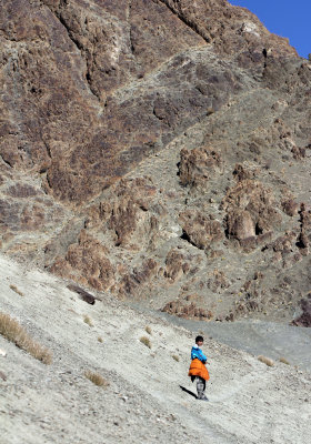 HEMIS NATIONAL PARK - LADAKH INDIA - JAMMU & KASHMIR NEAR RUMBAK VILLAGE (213).JPG