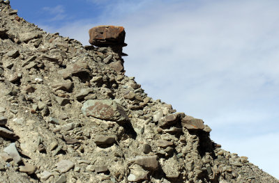 HEMIS NATIONAL PARK - LADAKH INDIA - JAMMU & KASHMIR NEAR RUMBAK VILLAGE (337).JPG