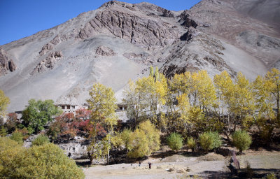 HEMIS NATIONAL PARK - LADAKH INDIA - JAMMU & KASHMIR NEAR RUMBAK VILLAGE (404).JPG