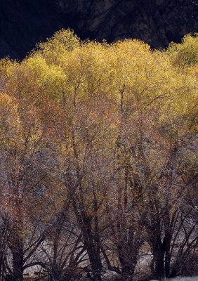 HEMIS NATIONAL PARK - LADAKH INDIA - JAMMU & KASHMIR NEAR RUMBAK VILLAGE (5).JPG