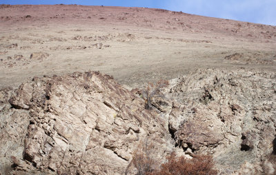 HEMIS NATIONAL PARK - LADAKH INDIA - JAMMU & KASHMIR NEAR RUMBAK VILLAGE (99).JPG