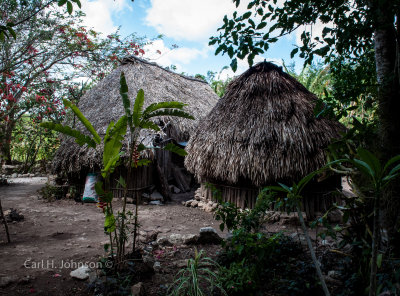 a traditional Maya house