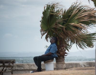 cool breeze
