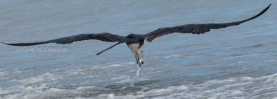 DSC_3246.jpg