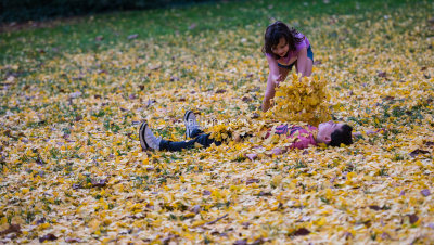playing_in_leaves