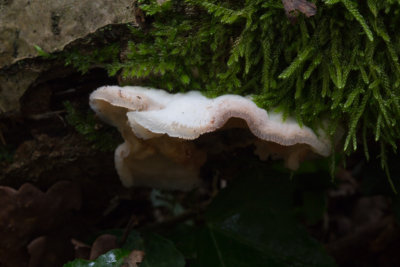 g9/62/962762/3/157455103.w1XyMErG.jpg