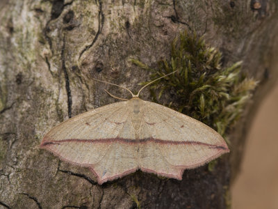 g9/62/962762/3/164101675.1UhePKEN.jpg