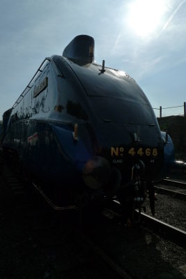 g9/62/967362/3/152921506.8ZTi9yYS.jpg