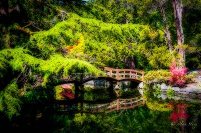 Dreamscape at Hatley Castle
