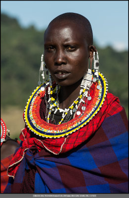Female Maasai_3.jpg
