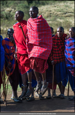 Maasai male dance.jpg