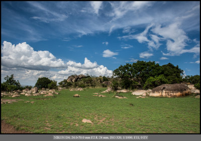 Northern Serengeti.jpg