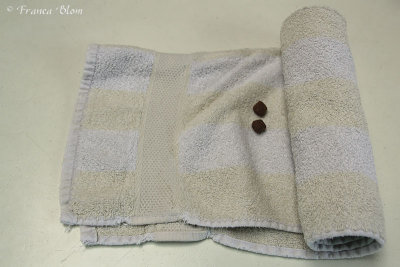 Brokjes in een opgerolde handdoek