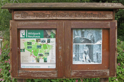 Het wildpark in Neuhaus