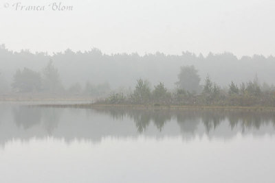 Weerspiegeling in de mist