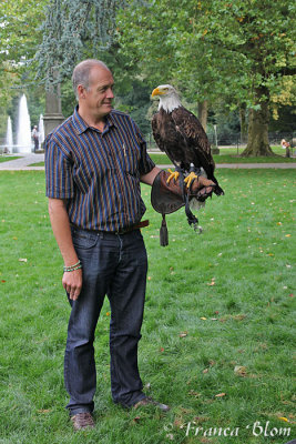 Wim and the bald eagle