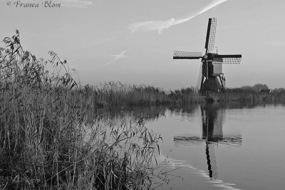 Zwart/wit - Black/white
