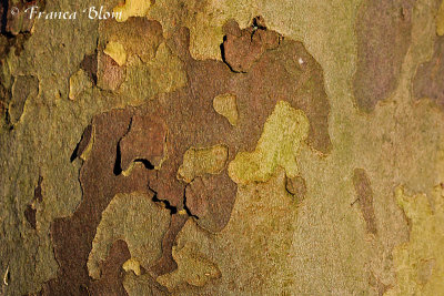 Abstract - Abstract