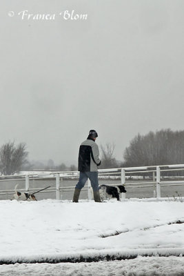 Honden uitlaten in de sneeuw