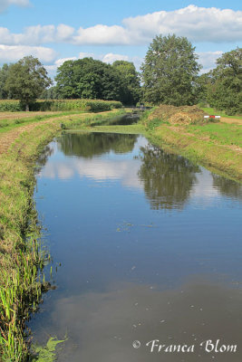 Landschap