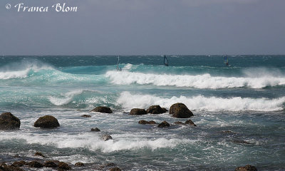 Surfers in de golven