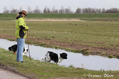 In de Avelingen