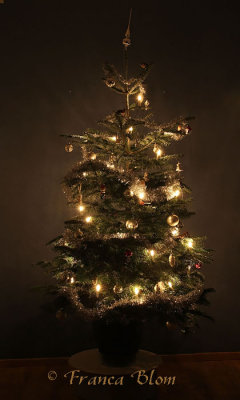 Onze kerstboom in het donker