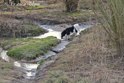 Rivierwater is lekkerder dan het water thuis ;-)