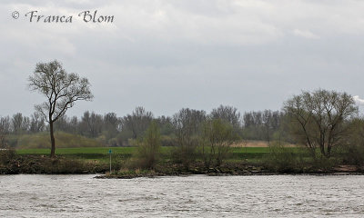 De overkant van de rivier