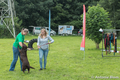 Feest 5 jaar Olijke vriendjes 20160625104724.jpg