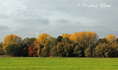 Herfst - Autumn