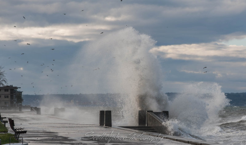 Towering Wave