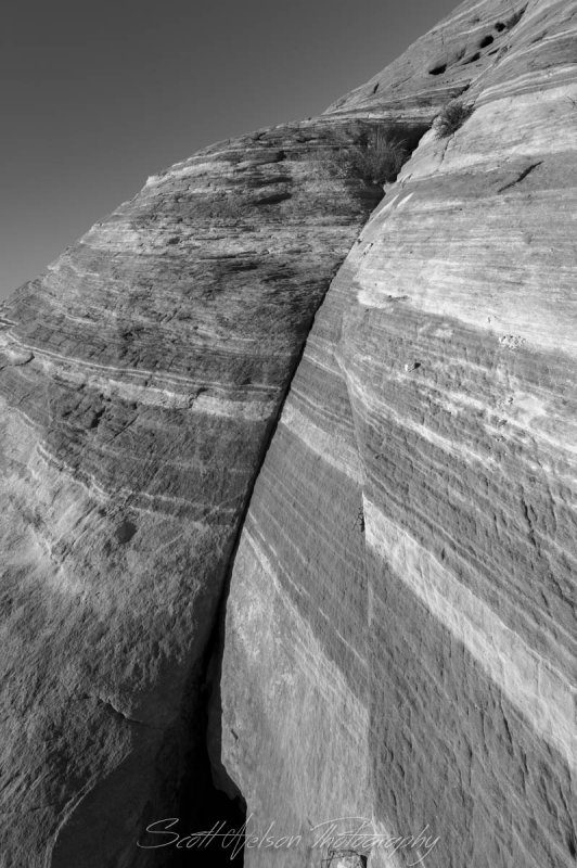Black and White Lines II