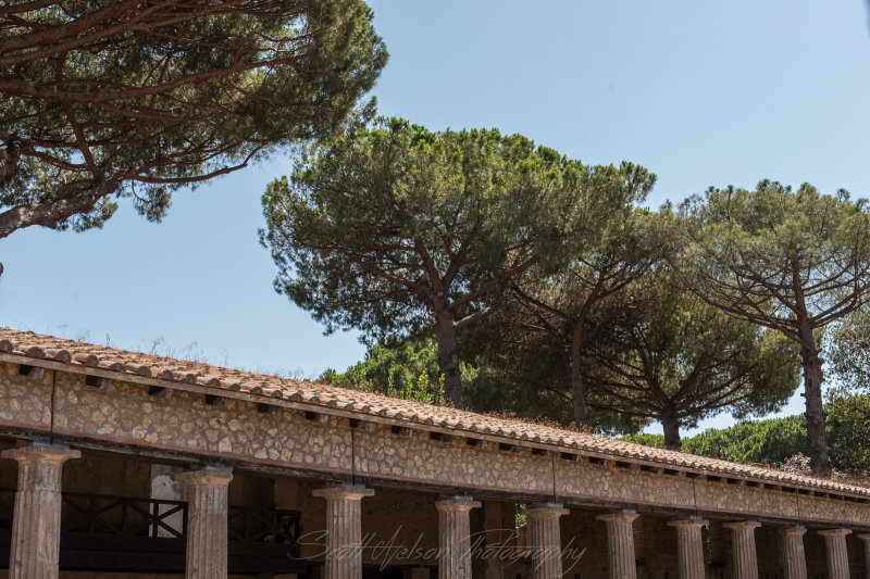 Roofline and Pines
