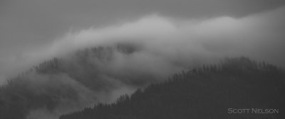 Northern Idaho Mist On The Mountian